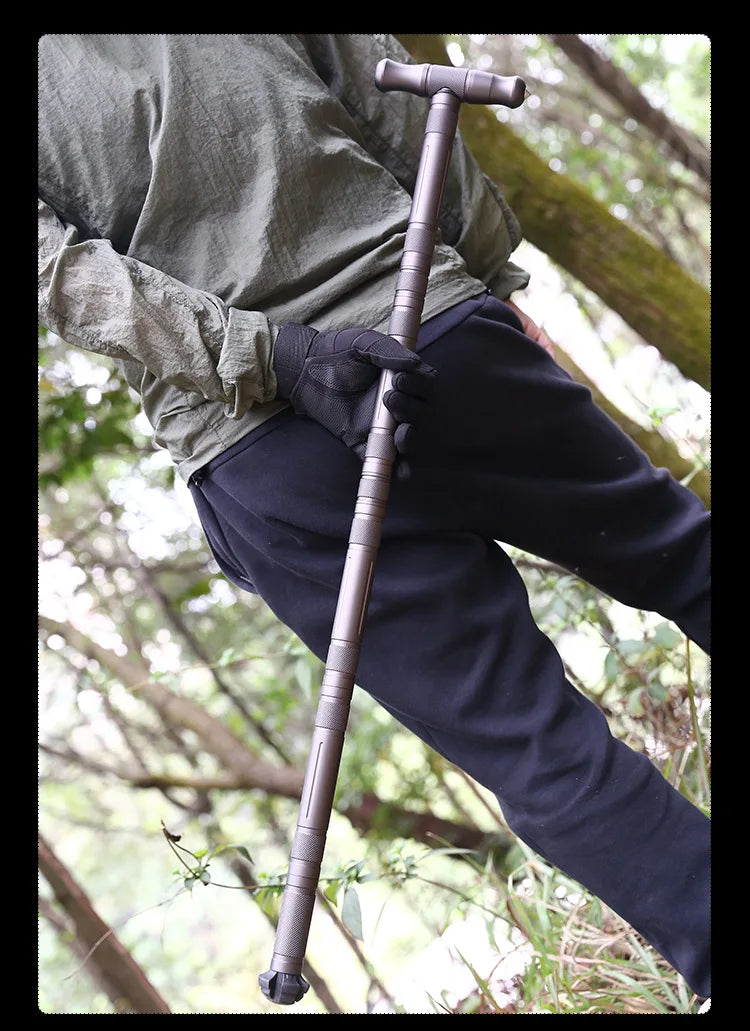 Safe Stride Multi-Hike Pole (Brown)